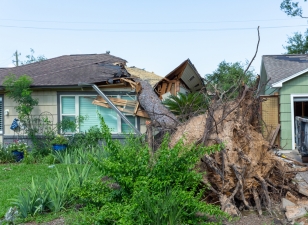 Fallen tree on house
