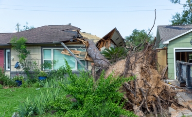 Fallen tree on house